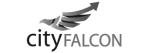 CityFalcon
